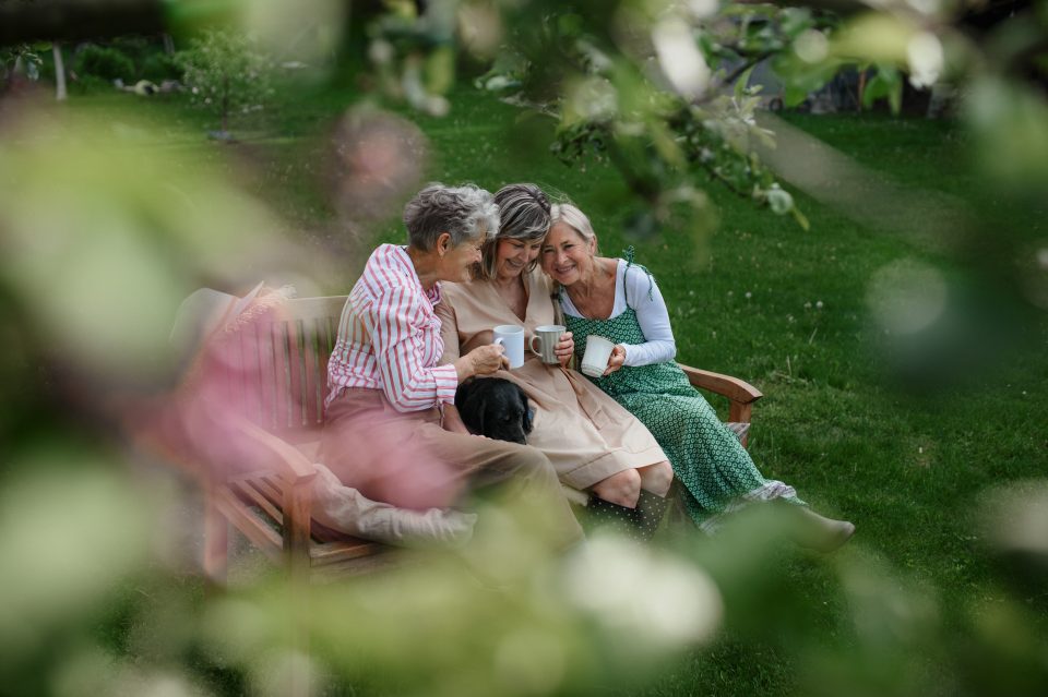 Weekend reading family relationships retirement